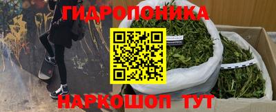 стаф Кулебаки
