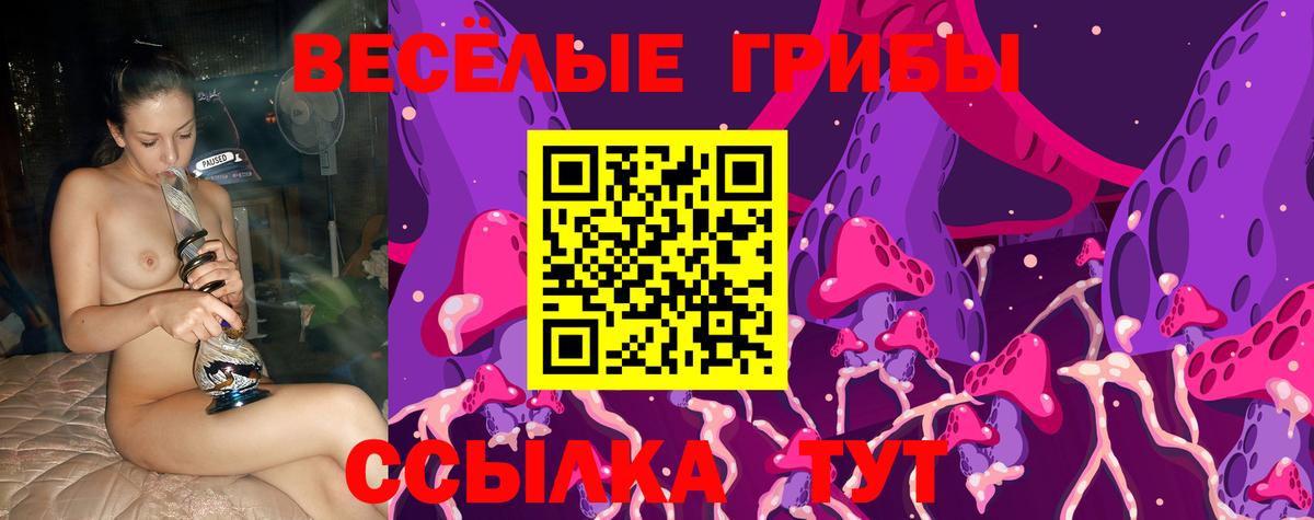 Клинцы  Галлюциногенные грибы Psilocybe  Вход с VPN 