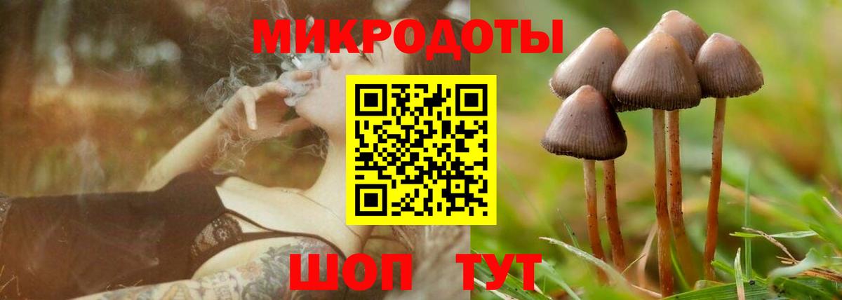 Псилоцибиновые грибы мухоморы Клинцы
